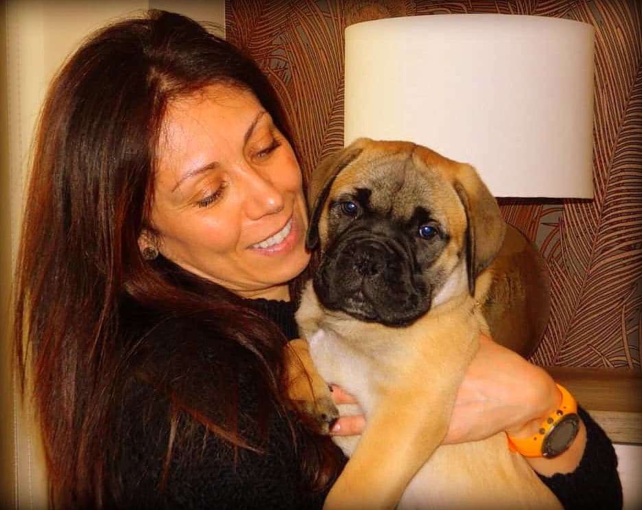 Criar Bullmastiffs con Amor es mi Pasión